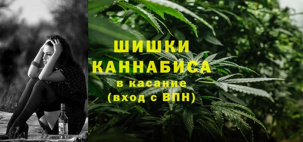 шишки Алексин