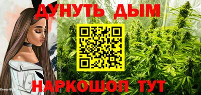 гидропоника Лесосибирск