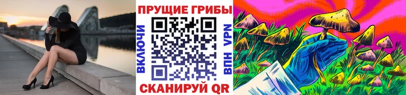 Псилоцибиновые грибы Magic Shrooms  Гуково 